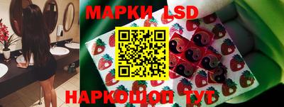 шишки Лесосибирск
