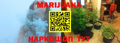 шишки Лесосибирск