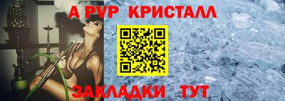 шишки Лесосибирск