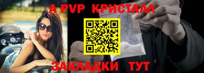 шишки Лесосибирск