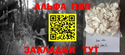 шишки Лесосибирск