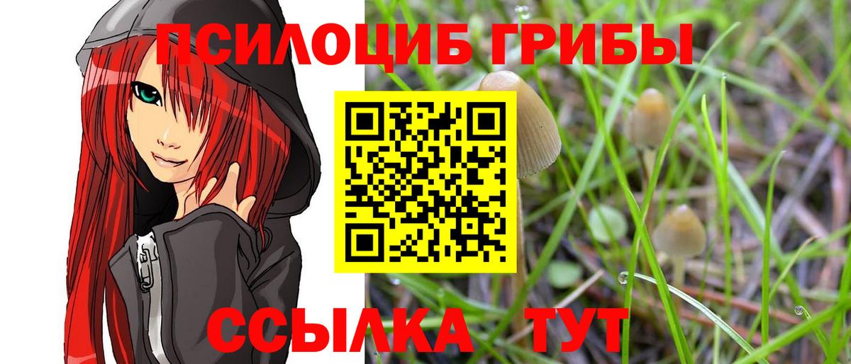 Шарыпово  Псилоцибиновые грибы прущие грибы  Псилоцибиновые грибы мухоморы  Вход с VPN 