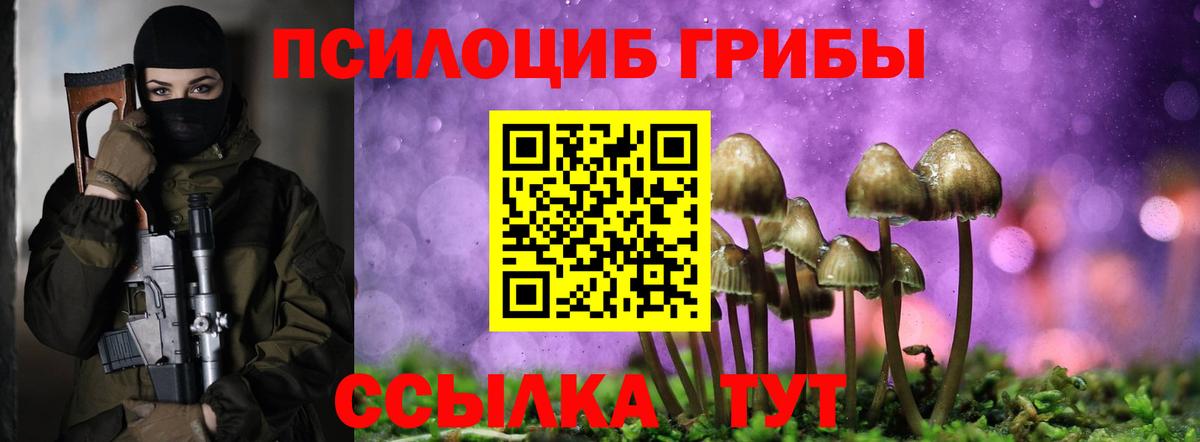 Галлюциногенные грибы Psilocybine cubensis Шарыпово